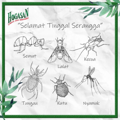 Hogasan Cairan Anti Serangga Pembasmi Nyamuk Kecoa Semut Spray Rumah Tangga Aman Untuk Keluarga thumbnail 5