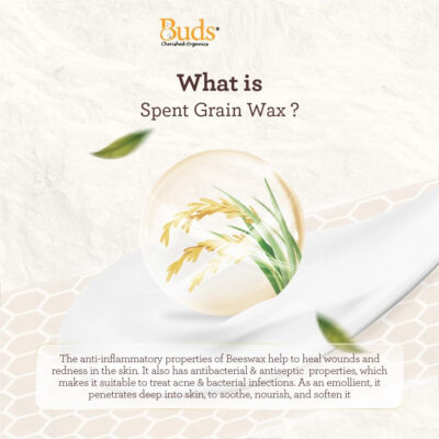 Buds Organics Baby Bum Balm 50ml - Lotion atau Krim Perawatan Ruam Popok Pantat Bayi dan Anak thumbnail 4